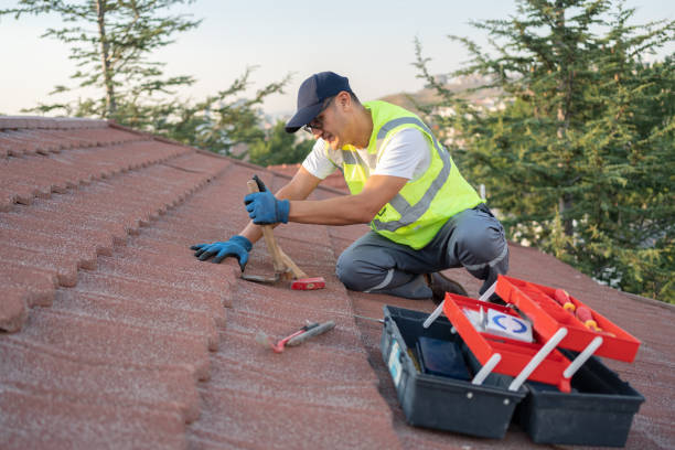 Best Local Roofing Companies  in Perryopolis, PA