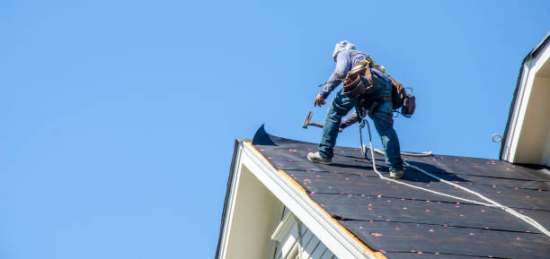 Best Roof Gutter Cleaning  in Perryopolis, PA